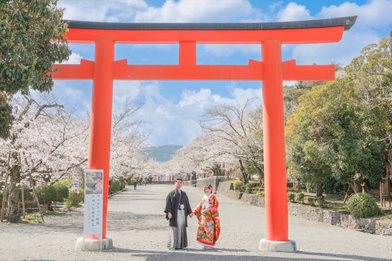 鳥居の下で。大空と桜の美しさ