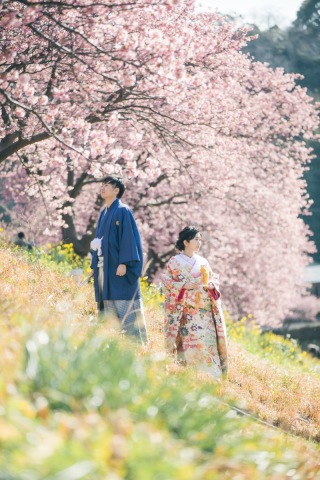 河津桜ロケーションフォト