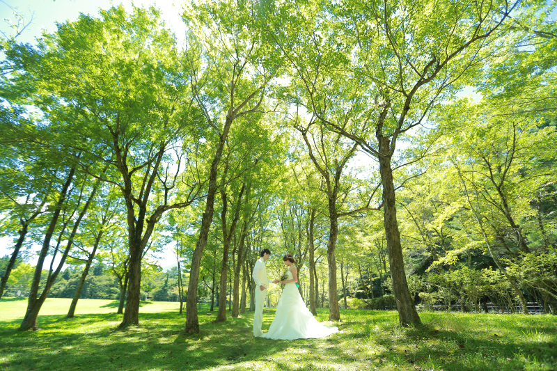 綺麗な緑の中で