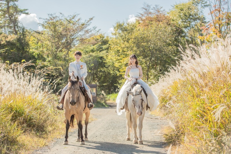 10月は秋らしいススキ