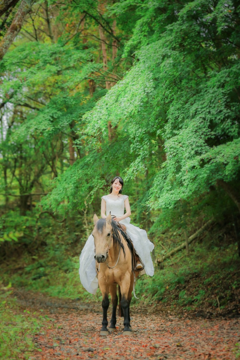 ソロショット。お馬さんもとってもお利口です