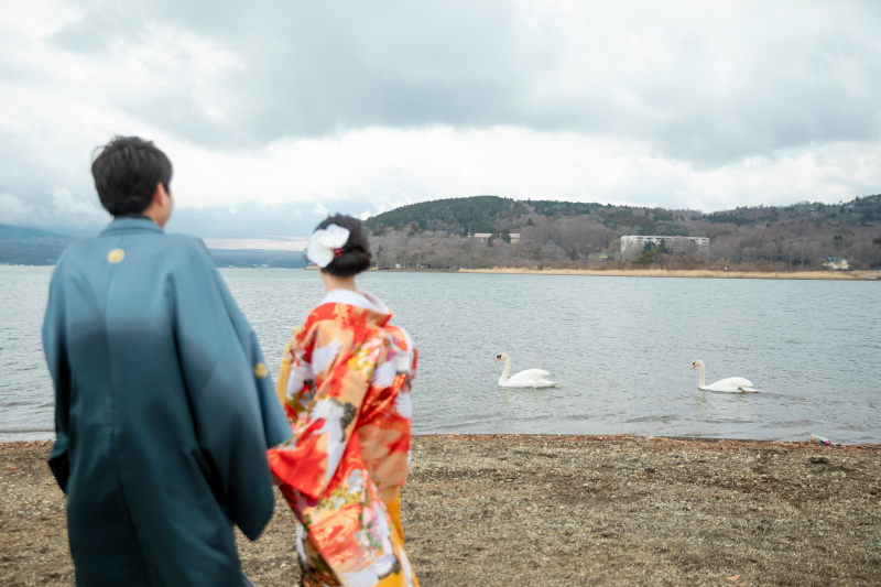 本物の白鳥も間近に！