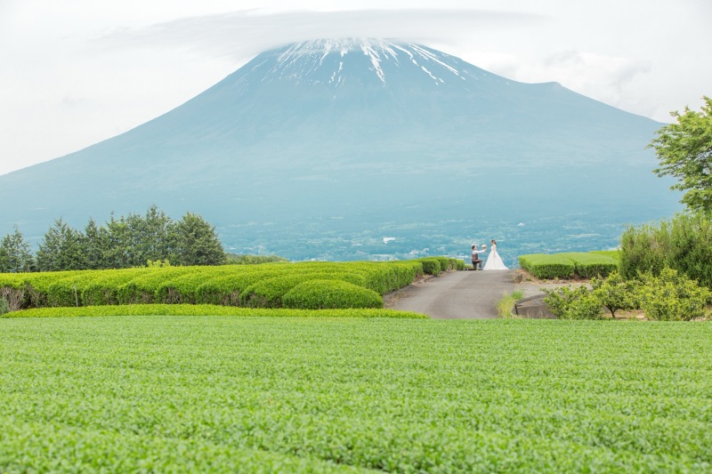 富士山と茶畑で