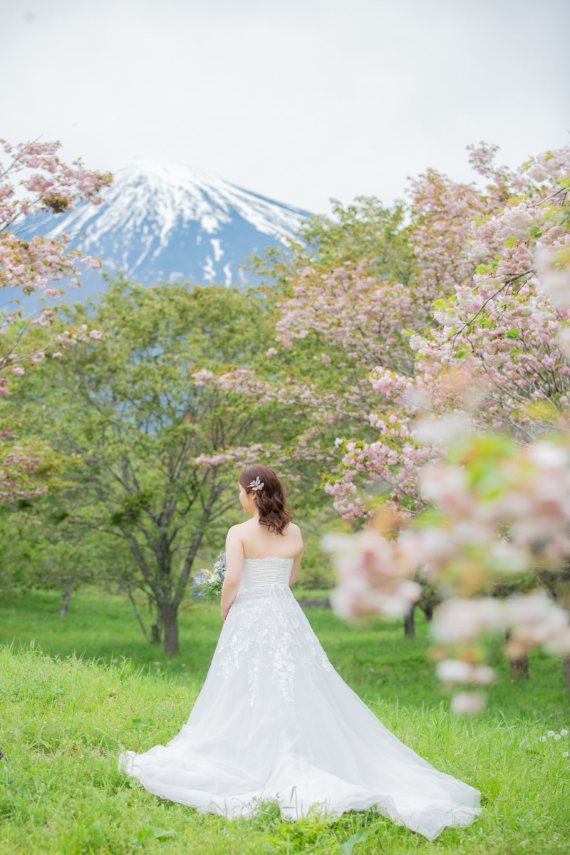 4月末に咲く八重桜と富士山で