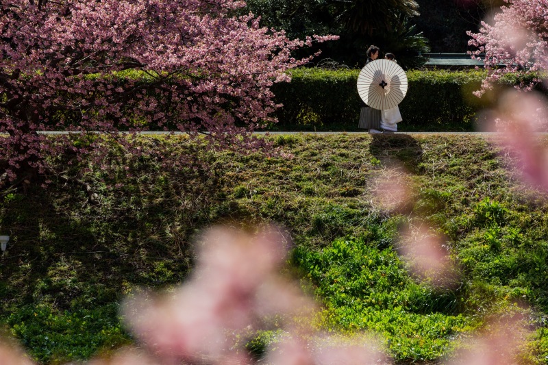 和傘とシルエットの綺麗な写真