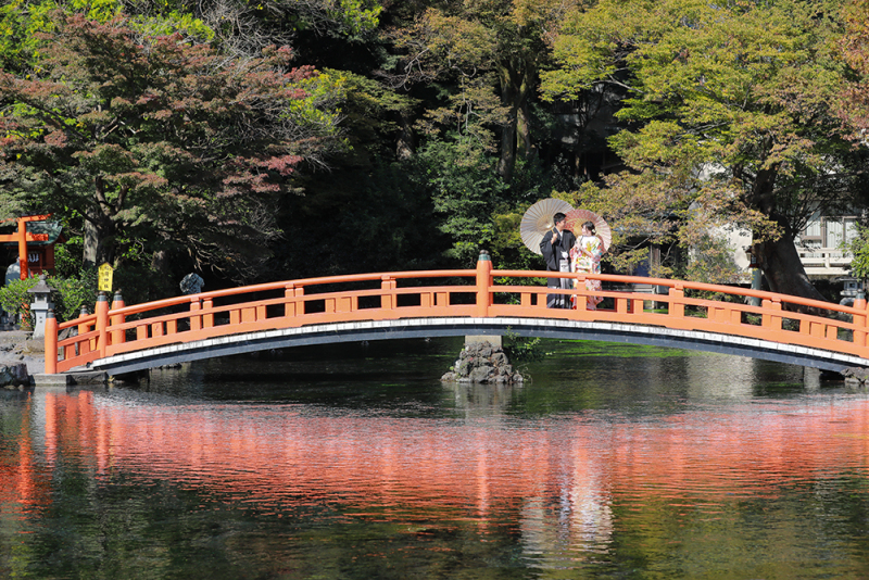 とっても美しい赤い橋の上で