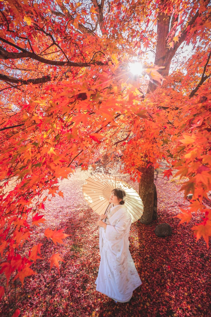 降るような紅葉の中で。