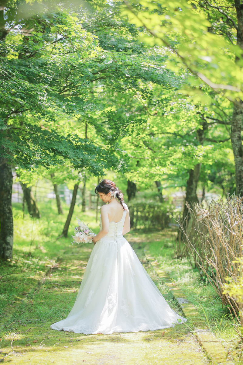 緑の森は、とても美しいです