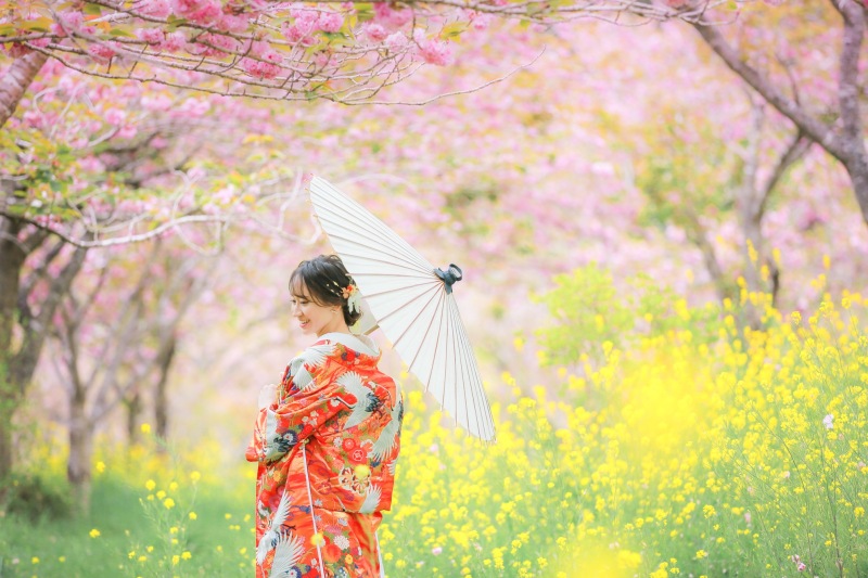 桜＋菜の花は本当に素敵ですね