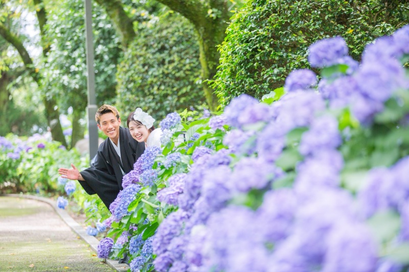 紫陽花の間から