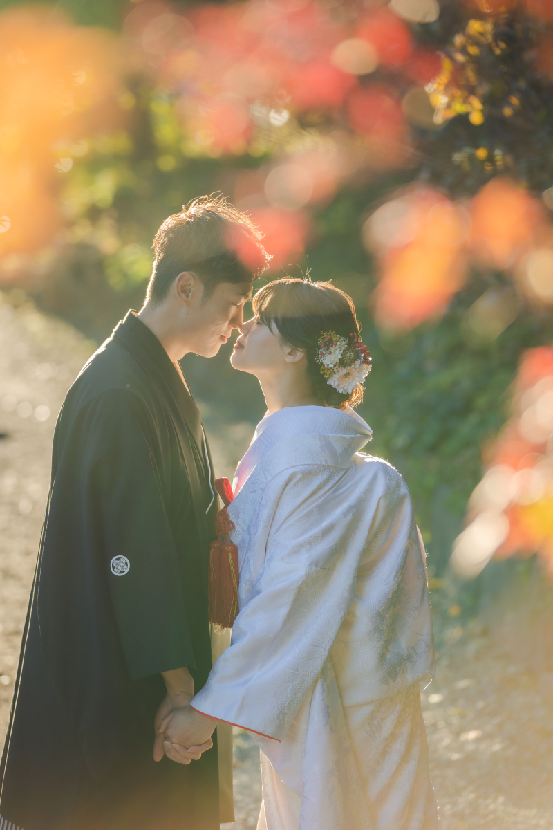 柔らかい光に包まれて