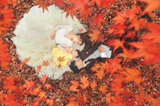 季節の鮮やかな色彩を活かしたフォト