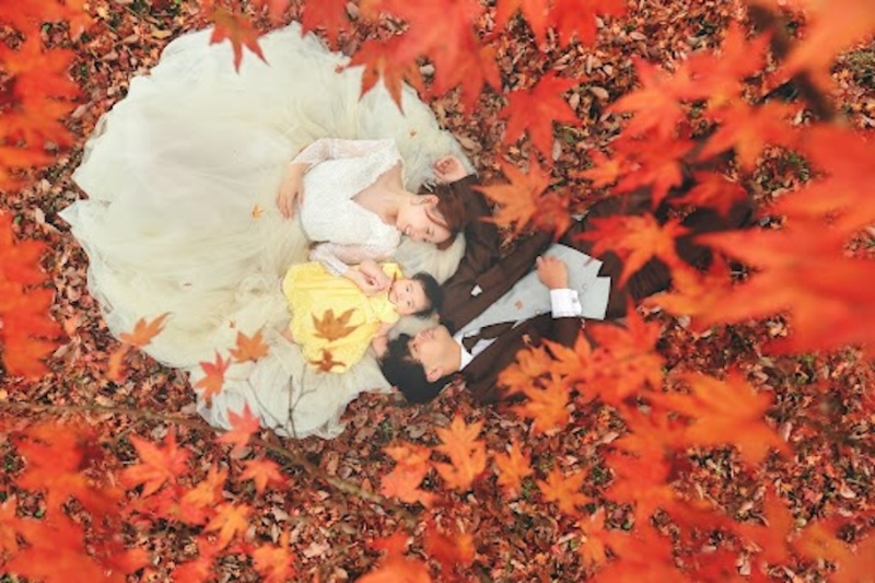 季節の鮮やかな色彩を活かしたフォト