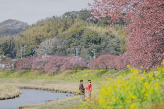 先着20組限定33,000円OFF【和装：河津桜ロケーション（選べる2箇所）】全データ美肌レタッチ付き+ 台紙1冊