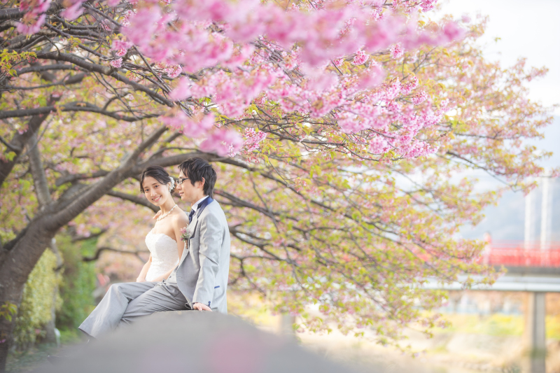 今だけ33000円オフ⭐︎更に!アルバム付き◎【河津桜: 洋装ロケーション】全データ美肌レタッチ付き+アルバム+台紙