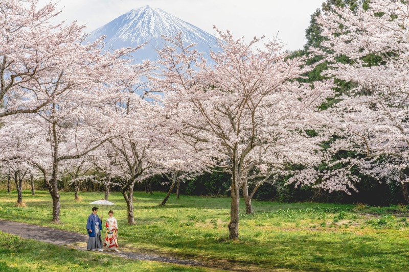 銀塩プリントで一生物のアルバムを…【和装+洋装:富士山満喫スペシャルロケーション】全データ美肌レタッチ付き+アルバム+台紙