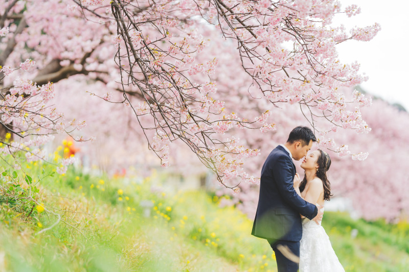 今だけ33000円オフ⭐︎更に!アルバム付き◎【河津桜: 洋装ロケーション】全データ美肌レタッチ付き+アルバム+台紙
