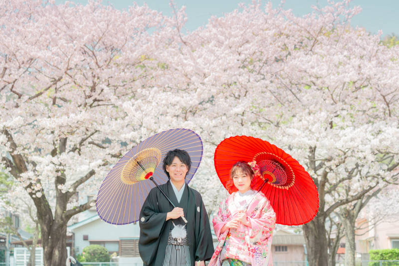 人気の桜ロケーション!