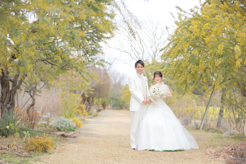 ミモザ 並木にて撮影♪