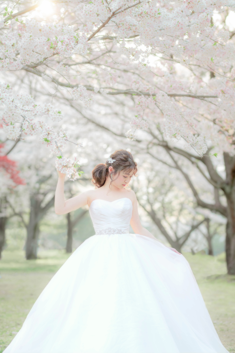 桜と白ドレス