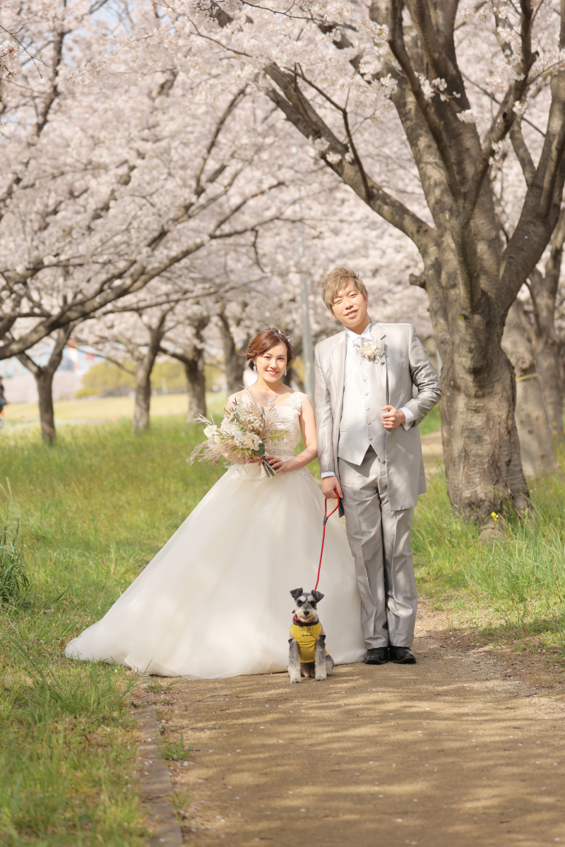 桜ロケーションご予約承っています♪