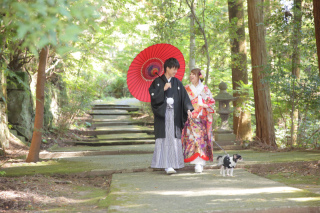 スタジオ撮影用小物(番傘)