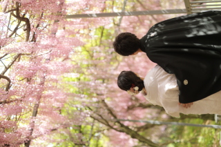 さかえ写真スタジオ_春ロケーション