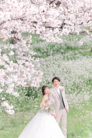 さかえ写真スタジオ_春ロケーション