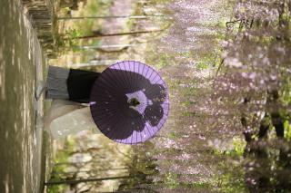 さかえ写真スタジオ_春ロケーション