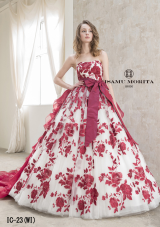 04288　アスター