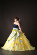 04282　セルラータ