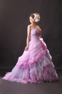 04232　ブローディア