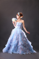 04215　ブルースター