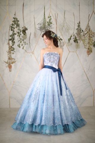 04276　ウォーターリリー