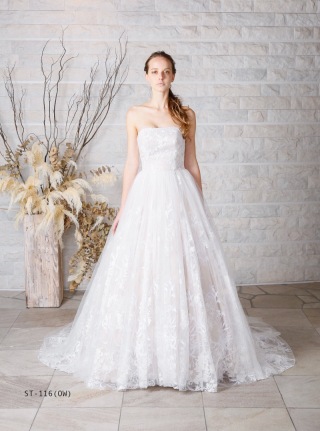 03355　フリージア