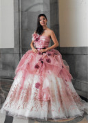 04306　パルシラ