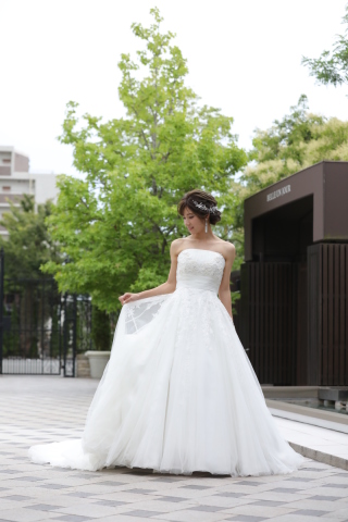 03338　キャメロン