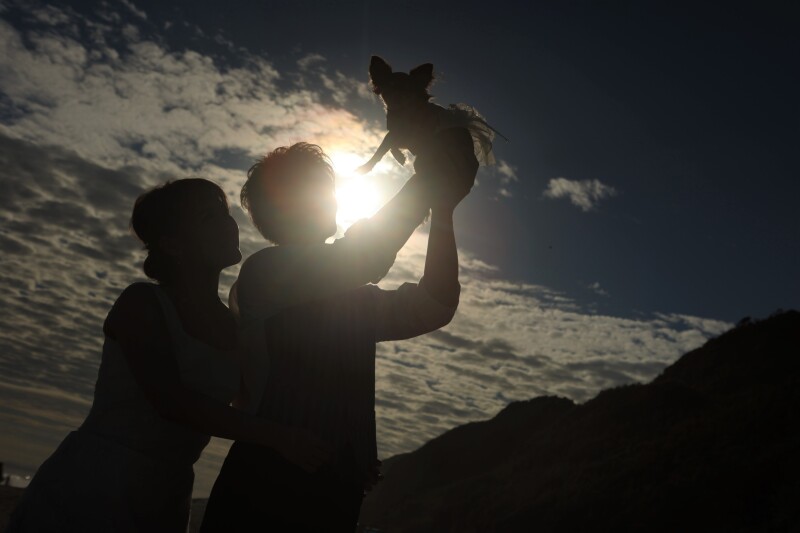 愛犬と一緒にフォトウェディング