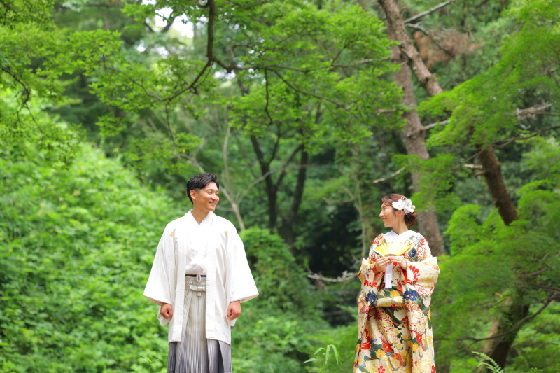 木々に囲まれて