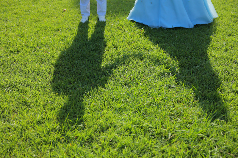 夏の公園ロケーションフォト