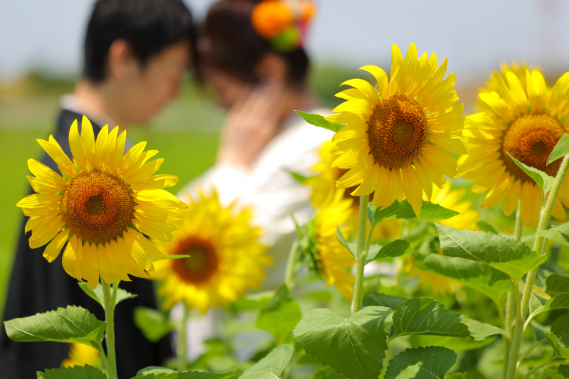 イメージショット