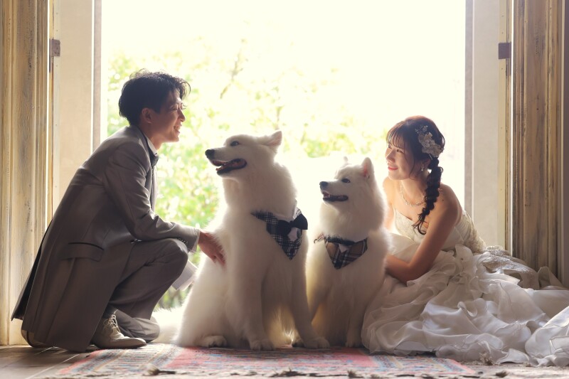 衣裳３着 チャペル＆スタジオ撮影