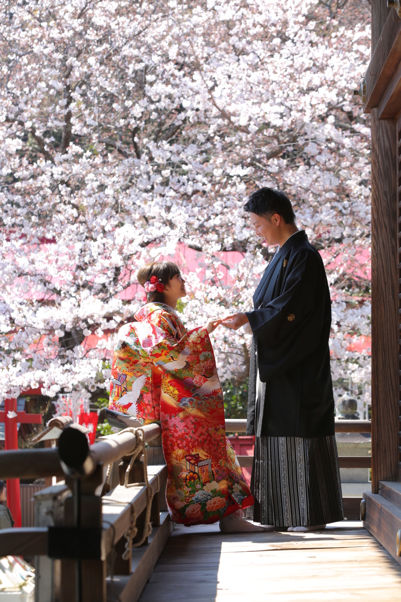 桜をバックに…