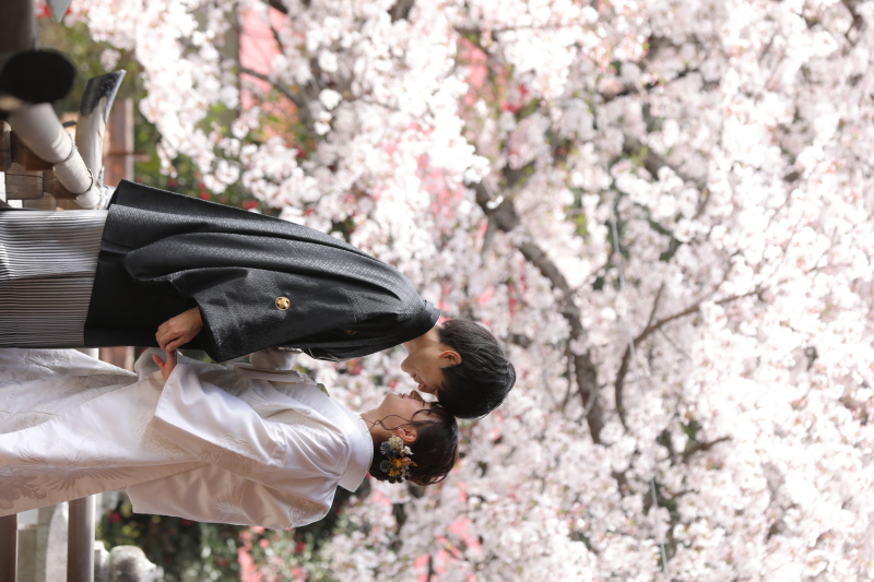和装×桜ロケーション