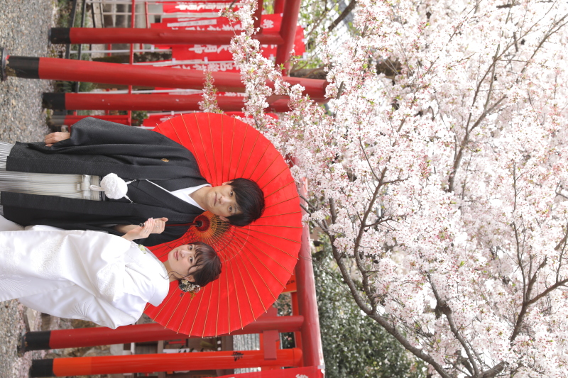 引き立つ衣裳を