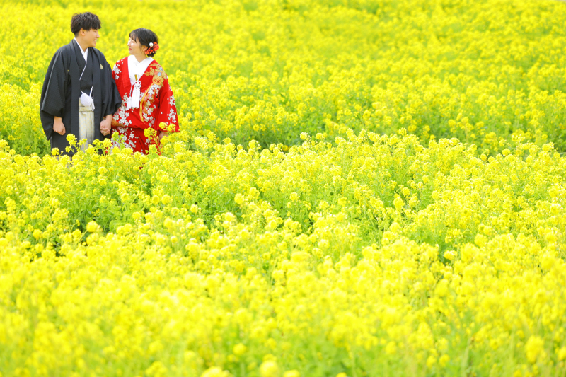 和装 菜の花ロケーション撮影