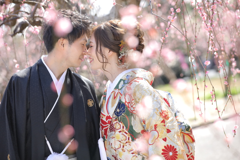 枝垂れ梅の隙間から