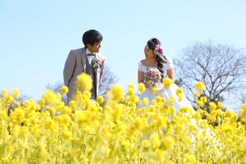 撮って楽しい×見て楽しい菜の花ロケーション♡