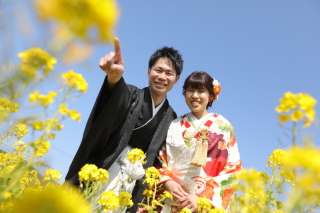 和装×菜の花ロケーション