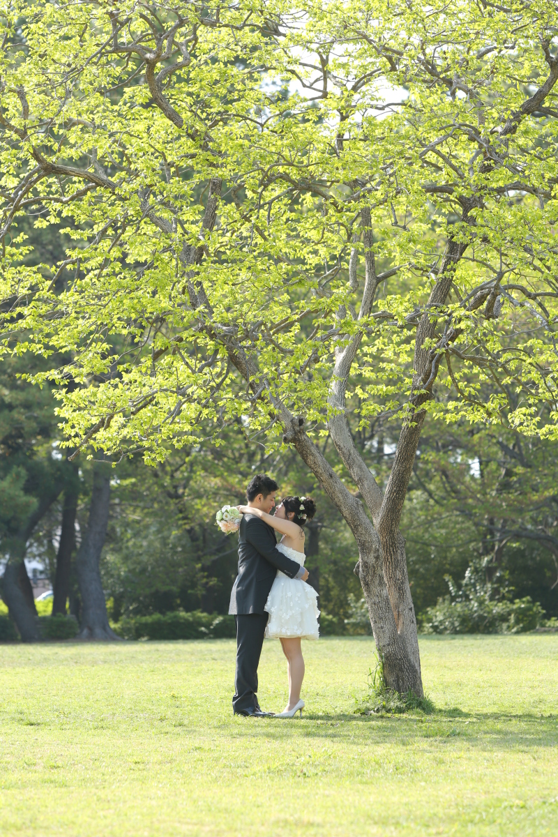 新緑が綺麗な時期に